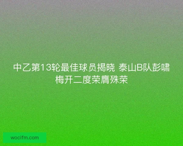 中乙第13轮最佳球员揭晓 泰山B队彭啸梅开二度荣膺殊荣