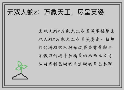 无双大蛇z：万象天工，尽呈英姿